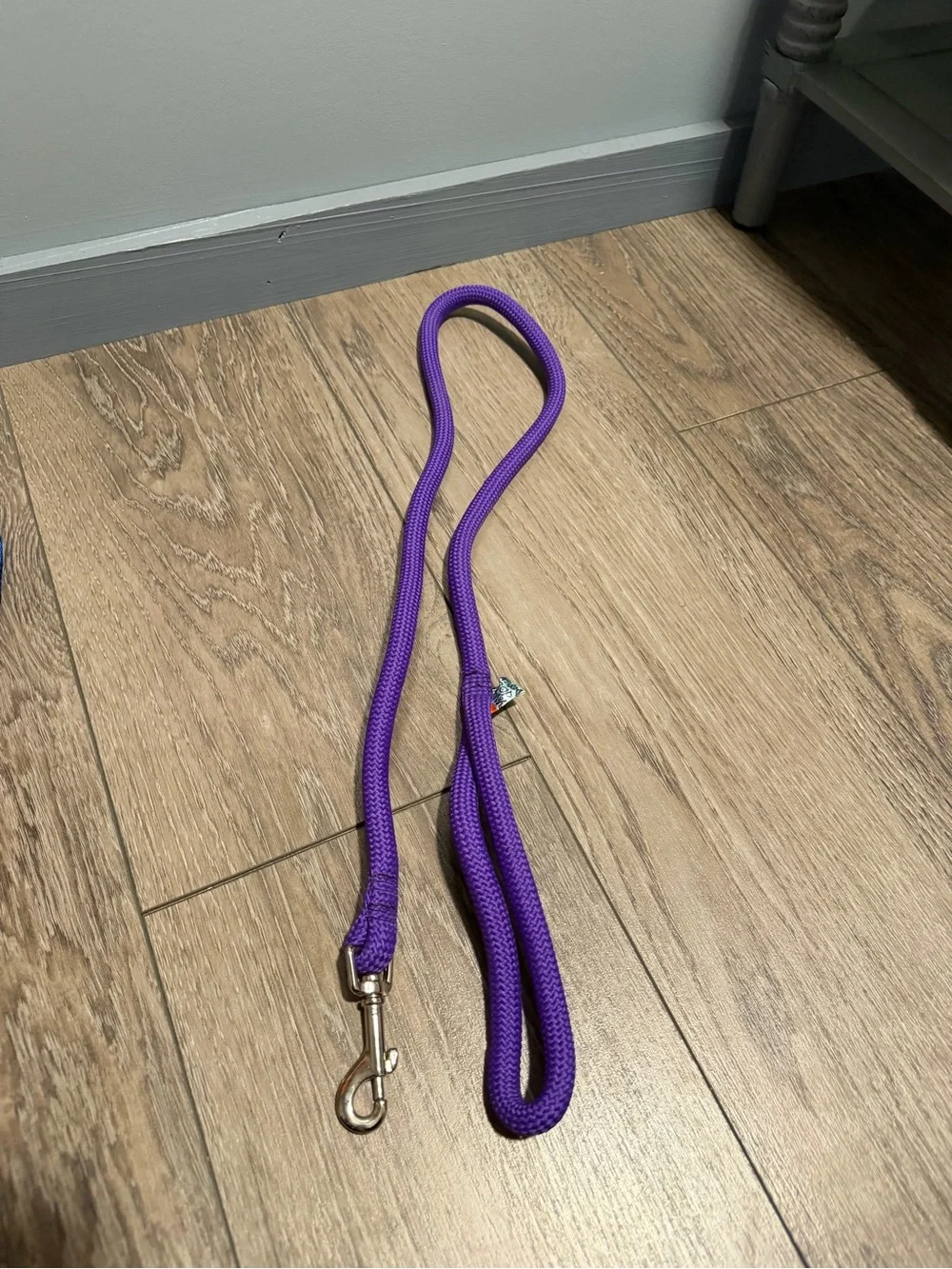 Lot of dog leashes